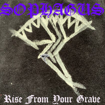 Rise From Your Grave cover art