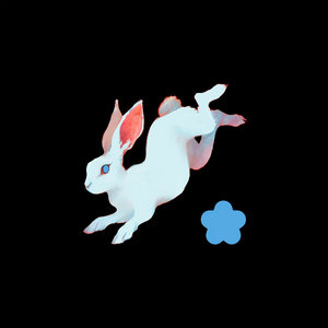 Ganser — Animal Hospital (Deluxe Edition)