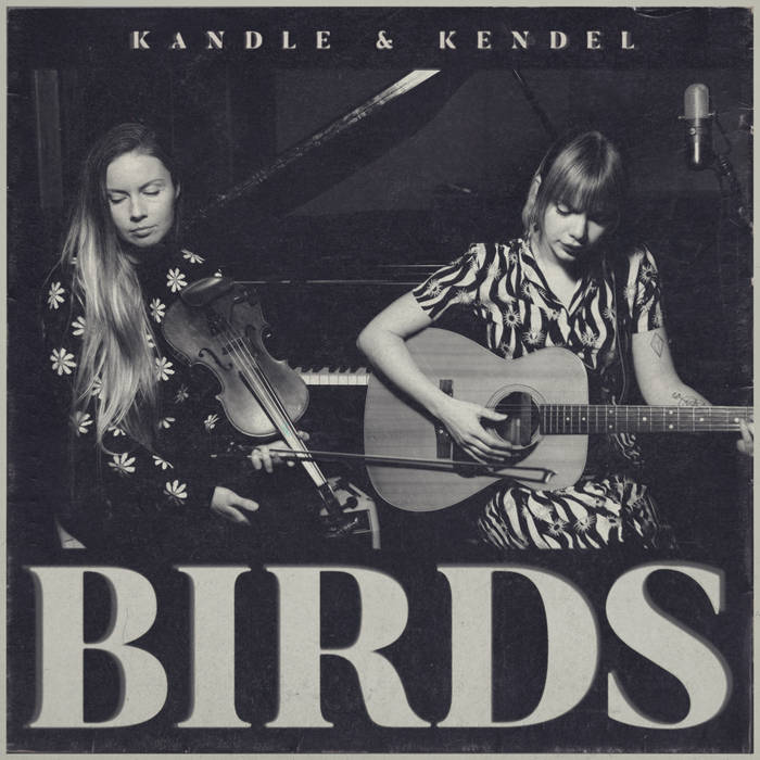 Birds | Kandle