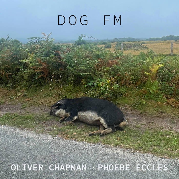 DOG FM | Oliver Chapman & Phoebe Eccles | Penultimate Press