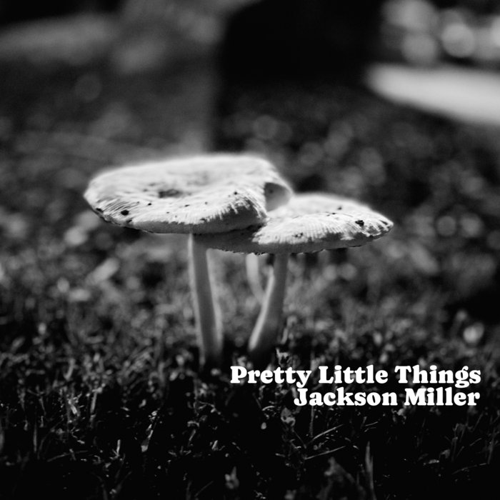 pretty little things Jackson Miller