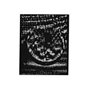 The Voltaic Eye cover
