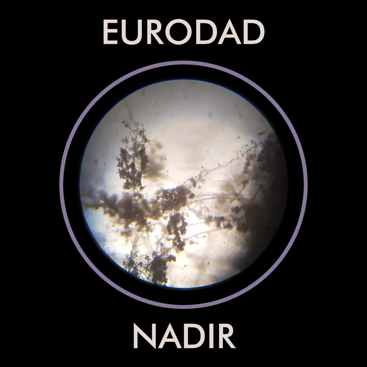 Nadir cover