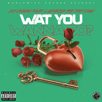 DJ Chase Feat. Lazaris the Top Don - What You Wanna Do? cover art