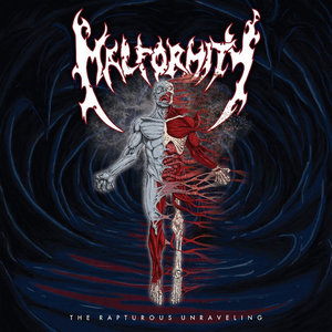 Malformity — The Rapturous Unraveling 7"