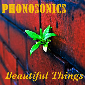 Phonosonics — Beautiful Things