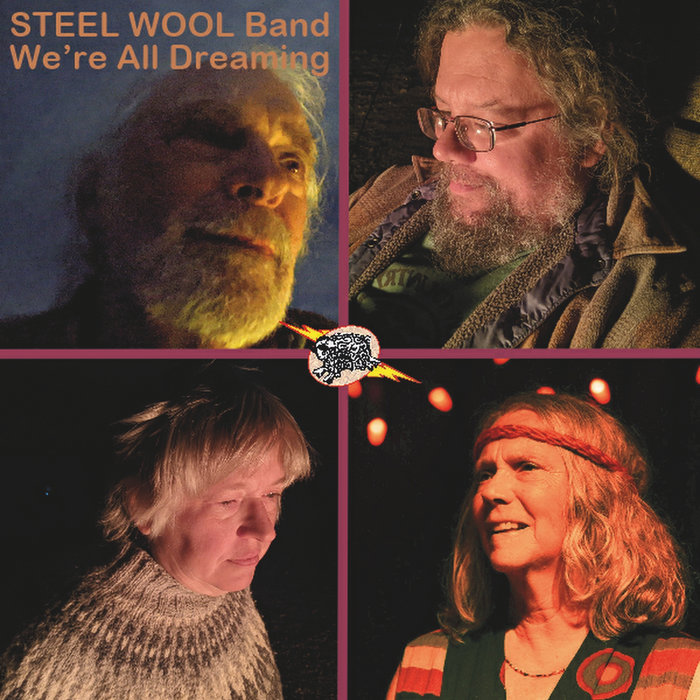 We're All Dreaming STEEL WOOL Band
