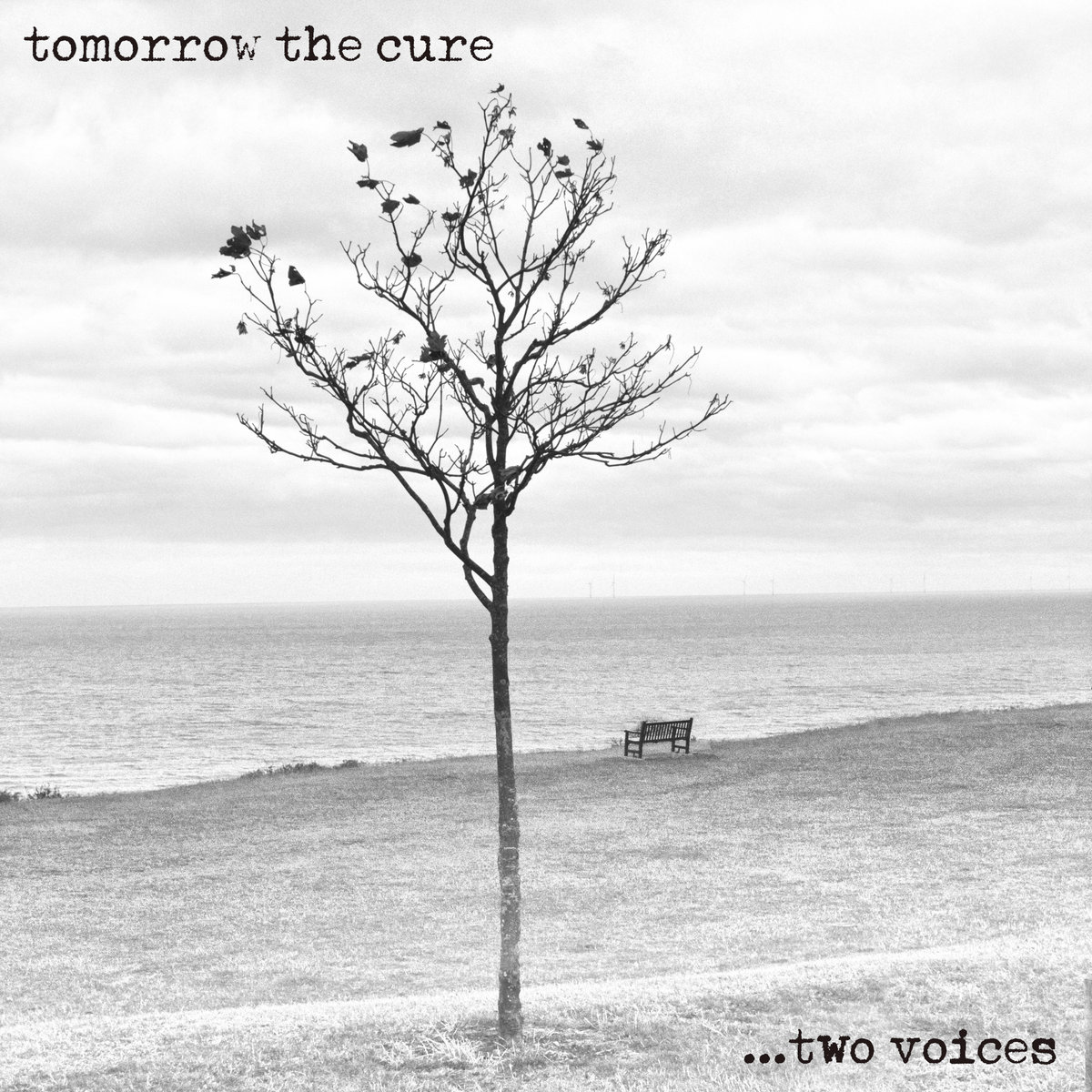 Two voices