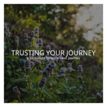 Trusting Your Journey cover art