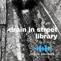 Drain in Street Library cover art