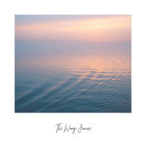 Journey To Peace (Ambient Cello & Guitar) - Bonus Edition cover art