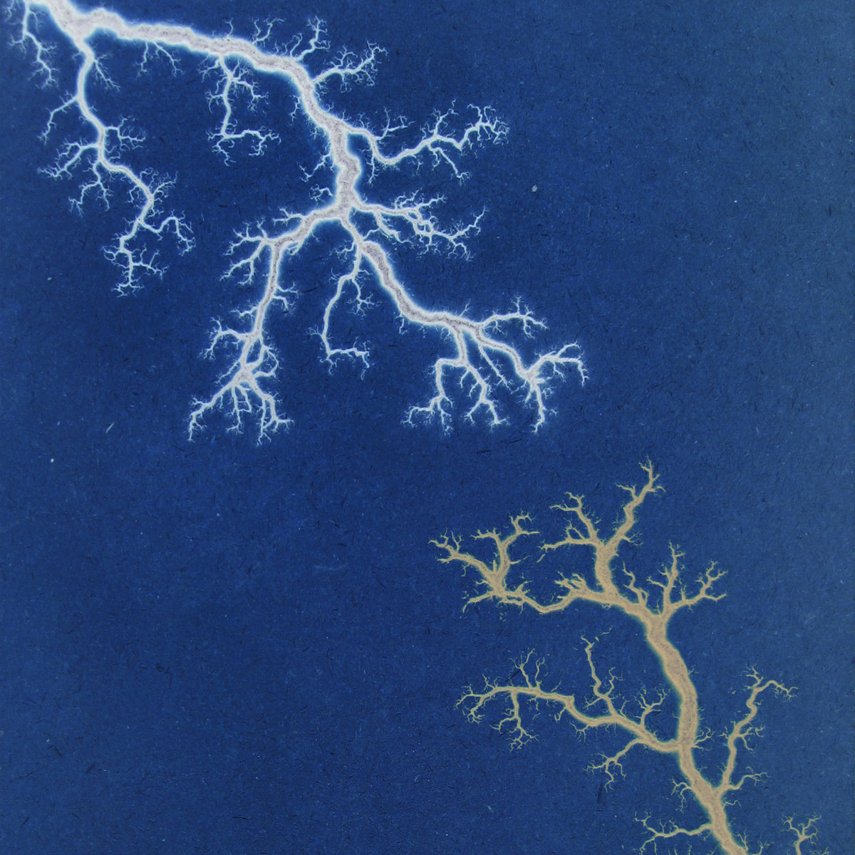 All Horns and Halos! James Hall & The Steady Wicked