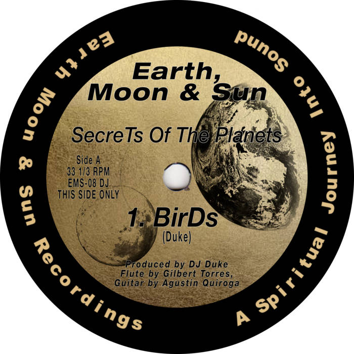 Birds (REMASTERED 2026) | Secrets of the Planets | DJ Duke