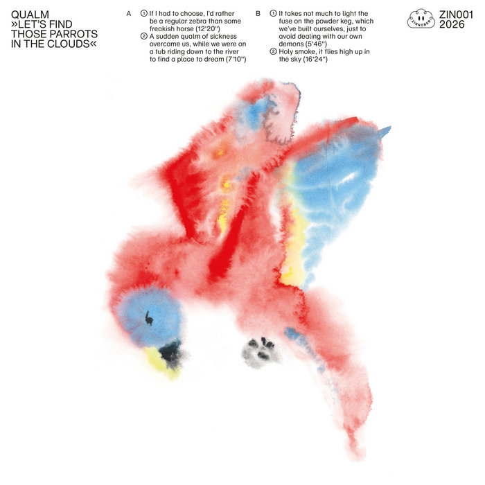 Pochette de Let´s find those parrots in the sky par QUALM