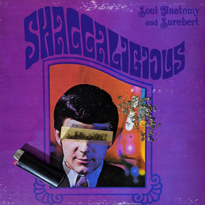 Shaggalicious (ft. Soul Anatomy) cover