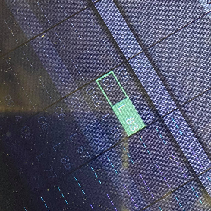 EP Flogging a Dead Horse