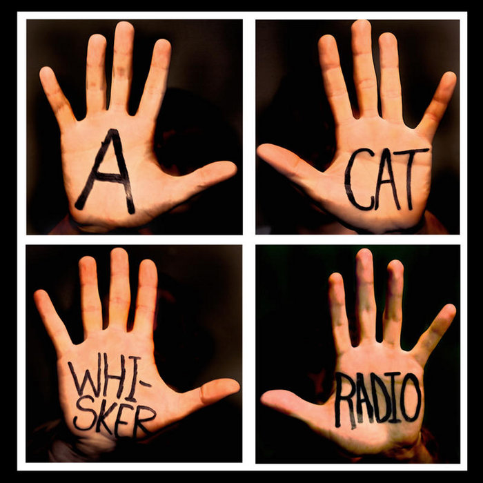 A Cat Whisker Radio Cat Whisker