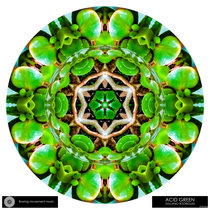 [FMM383] Acid Green cover art