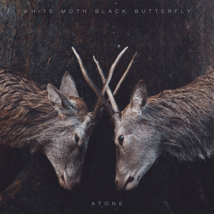 Atone | White Moth Black Butterfly | Kscope