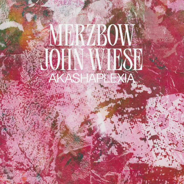 Merzbow John Wiese picture disc 限定500枚 Akashaplexia | Merzbow/John Wiese | John Wiese