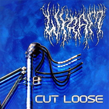 Cover art for Cut Loose