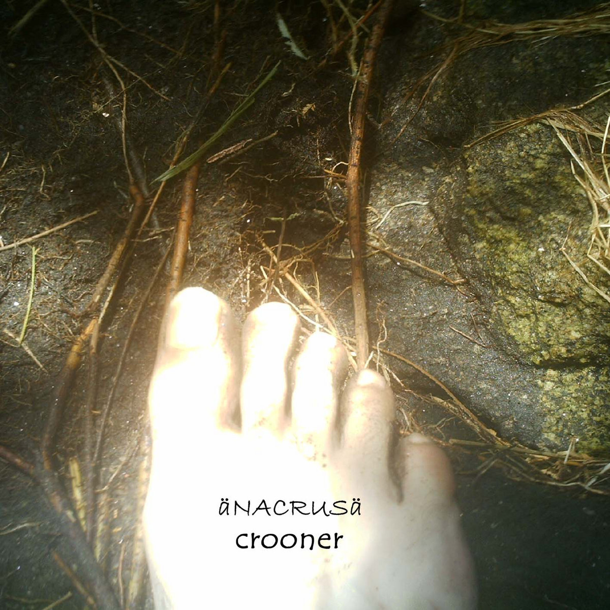 [035] Crooner