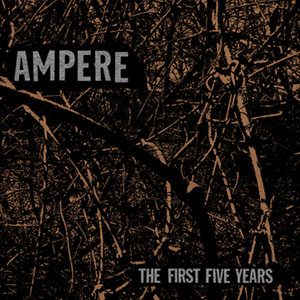 The First Five Years cover