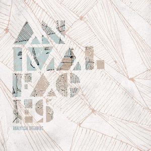 Animal Faces — Analytical Dreaming