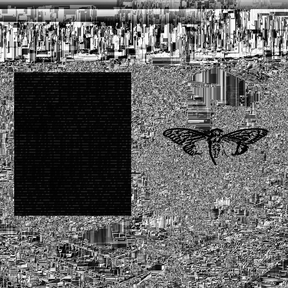52.216802, 21.018334 | CICADA 3301