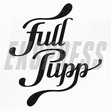 Hydrangea main photo