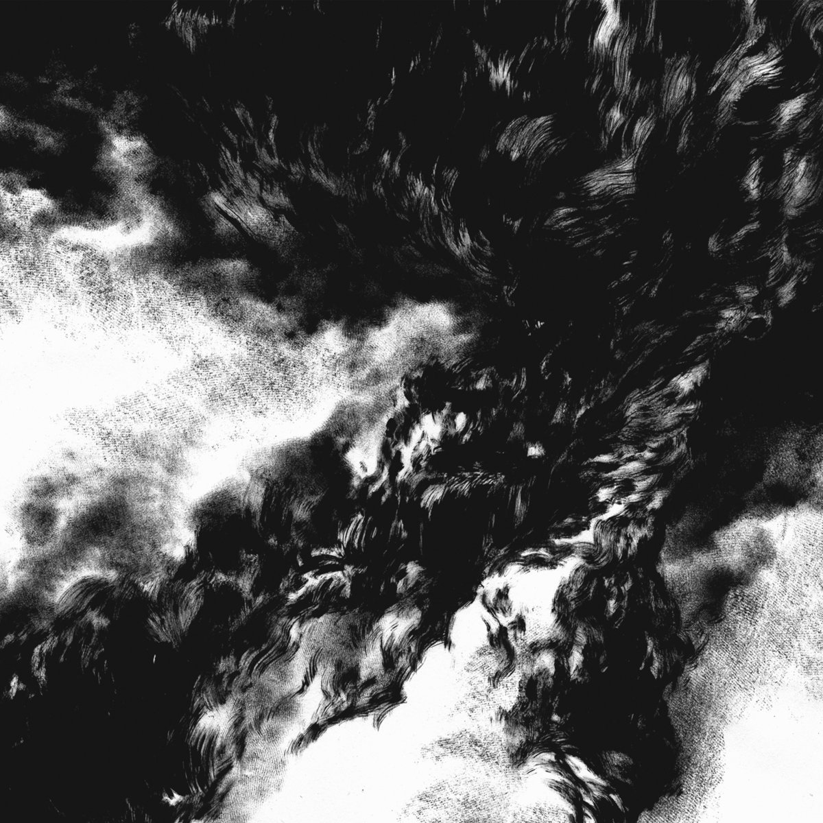 STUDIES FOR A VORTEX