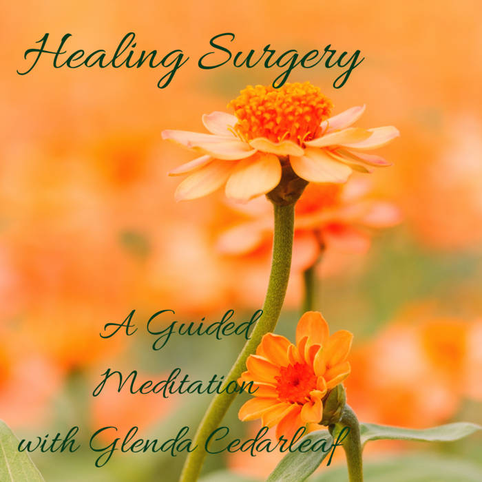 【CD】Healing Gospels Healing Surgery Album | Glenda Cedarleaf, Clinical Hypnotherapist