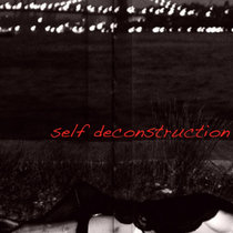 Self Deconstruction cover art