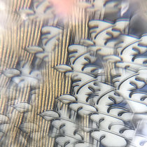 Sunshine Mint for Six Living Mirrors cover art