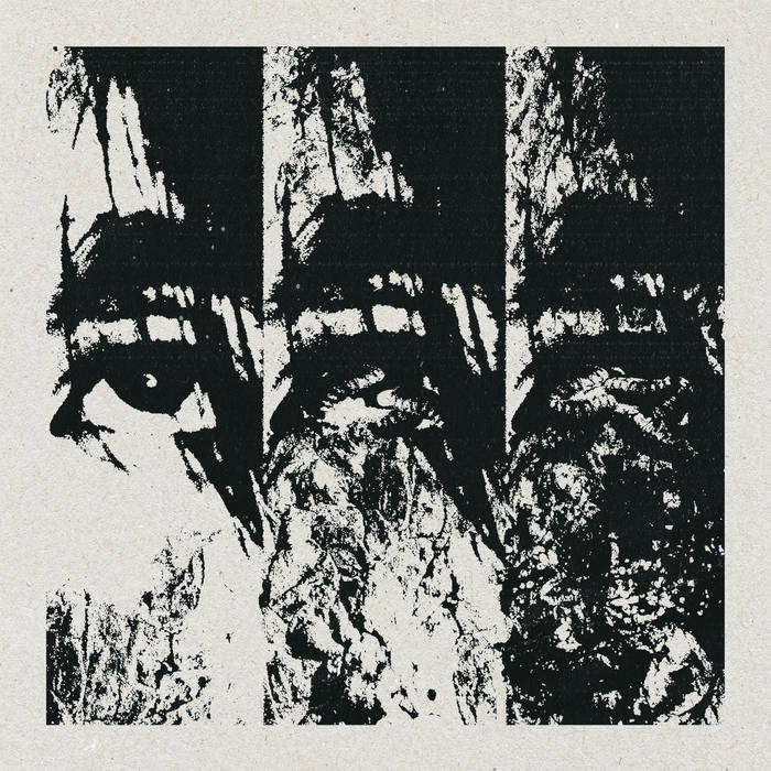WHERE　THE　EARTH　IS　ROTTING　AWAY Left to Rot | Wormrot
