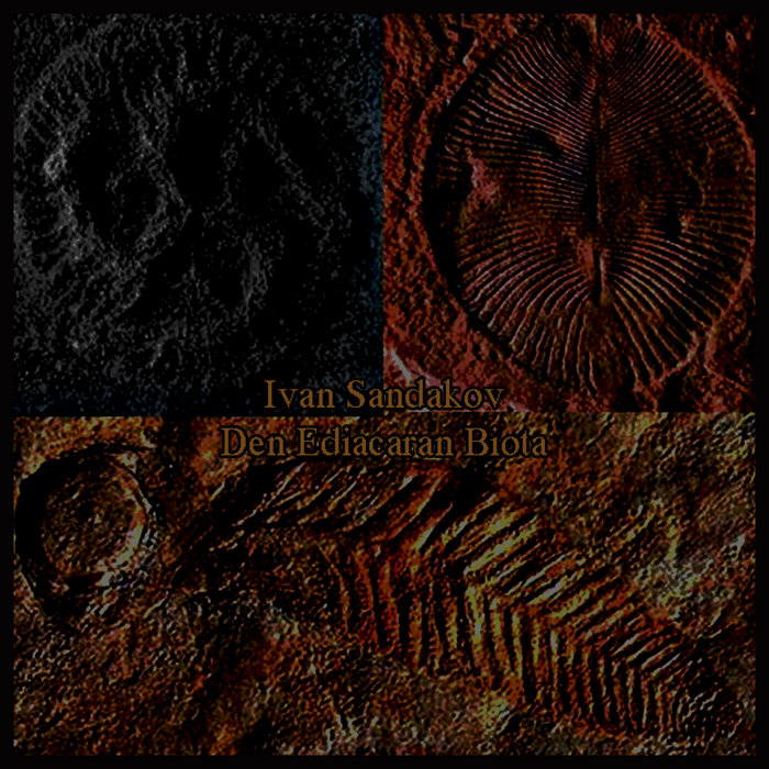 Den Ediacaran Biota Ivan Sandakov Dead Field Records