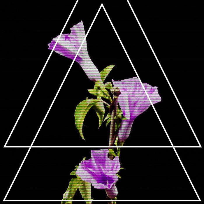 Wounds, by Julie's Haircut