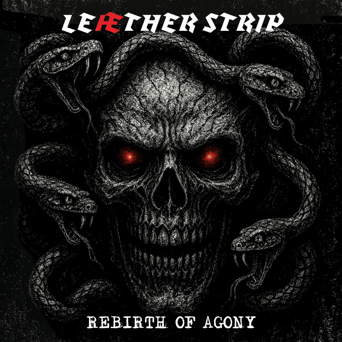 Rebirth Of Agony | Leaether Strip