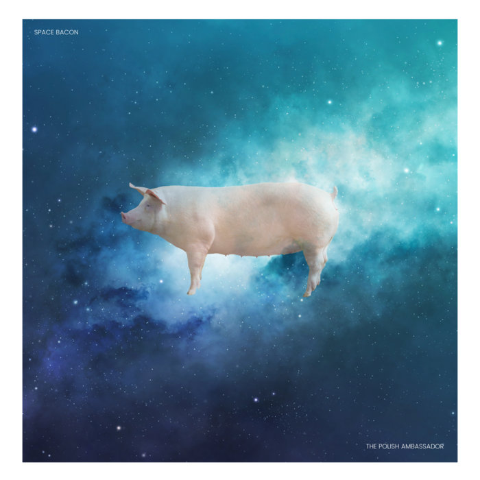 Space Bacon The Polish Ambassador Jumpsuit Records