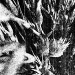 Ancient Nocturnal Summoning