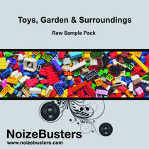 Toys, Garden & Surroundings cover art