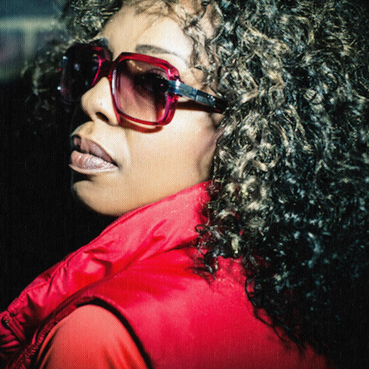 Anthology Series Rah Digga Brickcityink