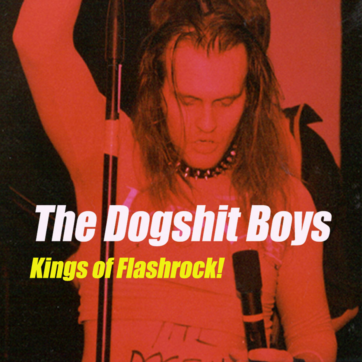 Vittu Saatana Perkele The Dogshit Boys