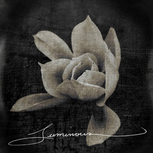 This Patch of Sky — Luminous - Songs for Film and TV