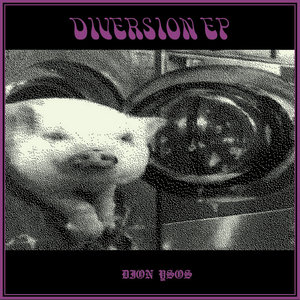 diversion EP cover
