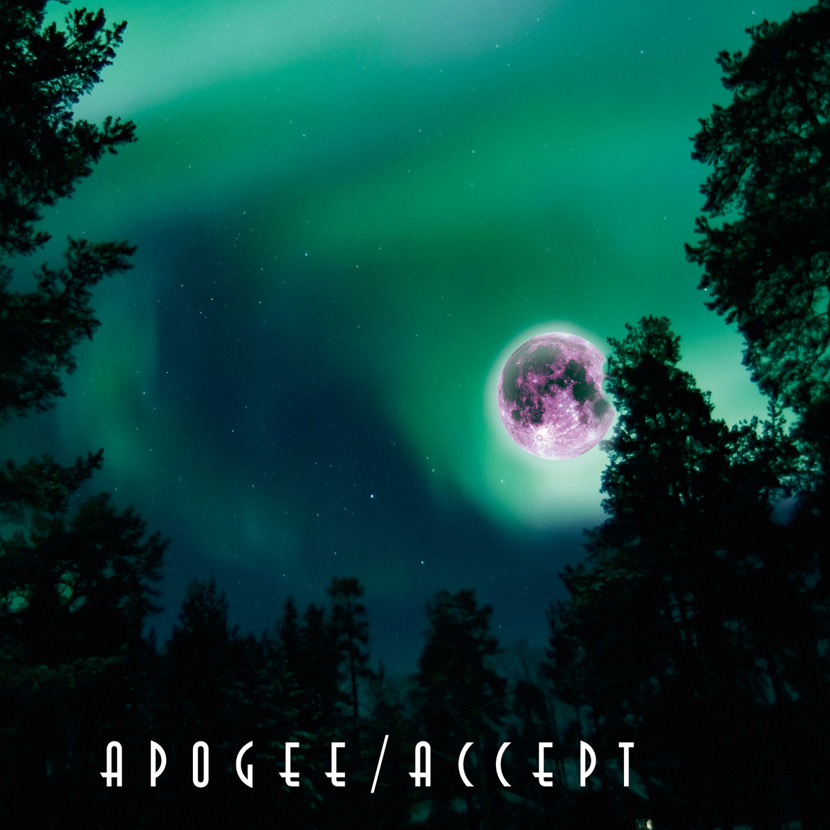 邦楽 APOGEE LIVE ALBUM 2CD CHRONICLE APOGEE | FRIENDSHIP.
