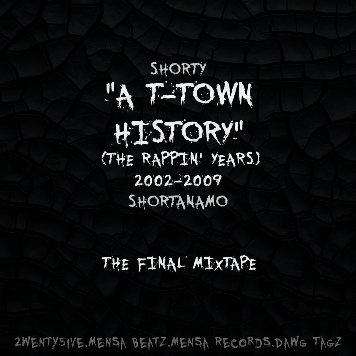 A T-Town History (The Rappin' Years) (2002 - 2009) | Shorty Shortanamo