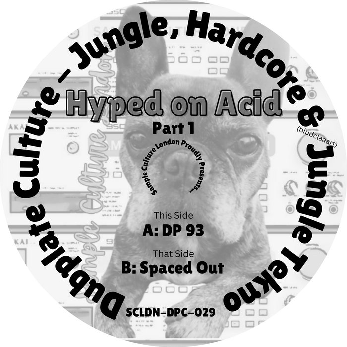 Pochette de Hyped on Acid - Part 1 par Hyped on Acid