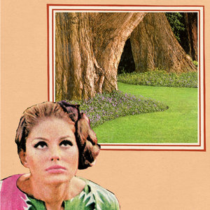 Weep Tubes cover