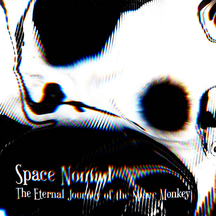 The Eternal Journey of The Space Monkey | Space Nomad